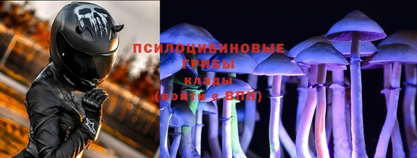 спиды Киреевск