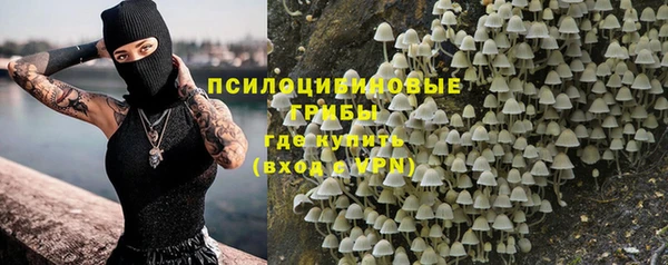 a pvp Киренск