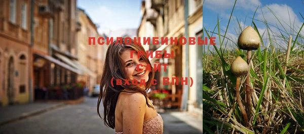 спиды Киреевск