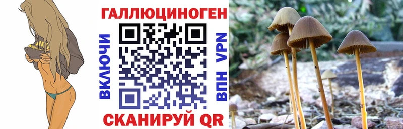 Галлюциногенные грибы прущие грибы  закладки  Устюжна 